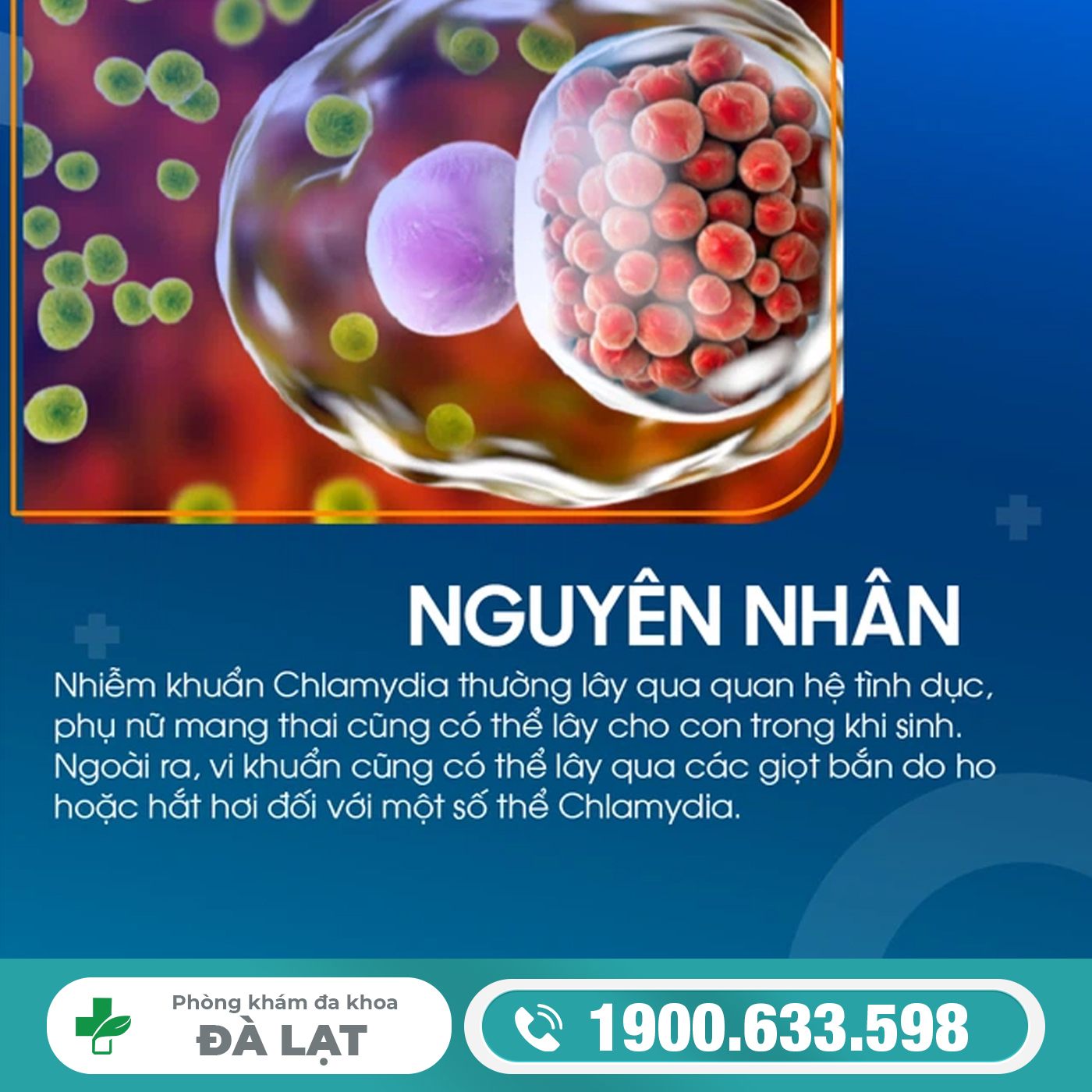 Bệnh Chlamydia: Nguyên nhân và phương pháp điều trị